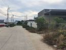 ขายที่ดิน - ที่ดินราษฏร์นิยม ถนนบางเลน-สุพรรณบุรี, นนทบุรี