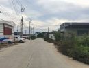 ขายที่ดิน - ที่ดินราษฏร์นิยม ถนนบางเลน-สุพรรณบุรี, นนทบุรี