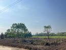 ขายที่ดิน - ขายที่ดิน 2 ไร่ คลองหก ปทุมธานี ราคาถูกสุดในย่านนี้