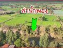 ขายที่ดิน - ขายที่ดินทำเลสวย บ้านนาเพียง ถมแล้ว ตำบลสำราญ จ.ขอนแก่น