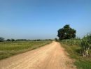 ขายที่ดิน - ขาย ที่ดิน สระกระโจม อ.ดอนเจดีย์ จ.สุพรรณบุรี 10 ไร่ ราคาต่อรองได้