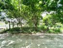 ขายที่ดิน - ขายที่ดินหนองละลอกติดถนนคอนกรีตเนื้อที่ 101 ตรว เหมาะปลูกบ้านสวน ใกล้ตลาดบ้านค่าย 3กม ระยอง