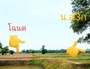 ขายที่ดิน - ที่นาแปลงสวย มีเอกสารสิทธิ์ ติดทางสาธารณะ ไ่ร่ละ 88,000 บาท อ.นางรอง บุรีรัมย์