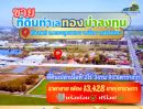 ขายที่ดิน - ขายที่ดินฉะเชิงเทรา เจ้าของขายเอง ที่ดินเปล่าผังสีม่วง ทำเลศักยภาพใกล้สุวรรณภูมิในเขตเศรษฐกิจพิเศษEEC