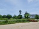 ขายที่ดิน - ขายที่ดินห้วยใหญ่ พัทยา 9 ไร่ แบ่งขาย4-5ไร่ ติดถนน2ด้านซอยห้วยยายจีนใกล้หาดจอมเทียน 11 กม อ.บางละมุง ชลบุรี