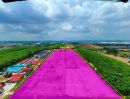 ขายที่ดิน - ขายที่ดินพื้นที่สีม่วง ทำเลอุตสาหกรรมใจกลางระยอง