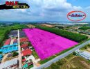 ขายที่ดิน - ขายที่ดินพื้นที่สีม่วง ทำเลอุตสาหกรรมใจกลางระยอง