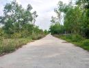 ขายที่ดิน - ขายที่ดินนครราชสีมา บ.หนองบัว ต.บ้านโพธิ์ โคราช ทำห้องเช่า ห่างถ.มิตรภาพ 700 ม. ห่างเซ็นทรัลโคราช 17 นาที