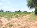 ขายที่ดิน - ขายที่ดินนครราชสีมา บ.หนองบัว ต.บ้านโพธิ์ โคราช ทำห้องเช่า ห่างถ.มิตรภาพ 700 ม. ห่างเซ็นทรัลโคราช 17 นาที