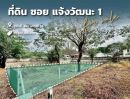 ขายที่ดิน - ขายที่ดิน ซอยแจ้งวัฒนะ 1 ใกล้ BTS หลักสี่ 182 ตร.ว. เหมาะสร้างบ้าน