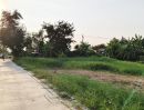 ขายที่ดิน - ขายที่ดิน บางพูด ถนนติวานนท์ ปากเกร็ด นนทบุรี ติดเมืองทองธานี 227, 114 ตร.วา