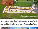 ขายที่ดิน - ขายที่ดิน114 วา ใกล้ตลาดเจดีย์แม่ครัว เจ้าของขายเอง