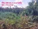 ขายที่ดิน - ขายที่ดินด่วน 399 ตารางวา ต.บางเดื่อ ปทุมธานี