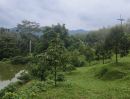 ขายที่ดิน - ขายด่วนที่ดิน ติดถนนดำ วิวเขา นครศรีธรรมราช