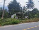 ขายที่ดิน - ขายด่วนที่ดิน ติดถนนดำ วิวเขา นครศรีธรรมราช