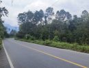 ขายที่ดิน - ขายด่วนที่ดิน ติดถนนดำ วิวเขา นครศรีธรรมราช