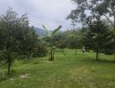 ขายที่ดิน - ขายด่วนที่ดิน ติดถนนดำ วิวเขา นครศรีธรรมราช