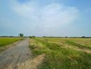 ขายที่ดิน - ขายที่ดิน 9-1-23 ไร่ ตำบลโปร่ง อำเภอหนองโดน จังหวัดสระบุรี