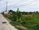 ขายที่ดิน - ขายที่ดิน ติดถนนบ้านกล้วย-ไทรน้อย ตำบลไทรน้อย อำเภอไทรน้อย นนทบุรี