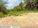 ขายที่ดิน - ที่ดินเปาะเส้ง 3 ไร่ 50 ตร.ว. ยะลา ใกล้ตลาดใหญ่สามแยกบ้านเนียง
