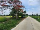 ขายที่ดิน - ขายที่ดิน 4 ไร่ หนองแค สระบุรี ใกล้วัดหนองโรง