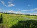 ขายที่ดิน - ขายที่นาวิวภูเขาสวย 14-0-41 ไร่ อ.สันกำแพง เชียงใหม่