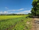 ขายที่ดิน - ขายที่นาวิวภูเขาสวย 14-0-41 ไร่ อ.สันกำแพง เชียงใหม่