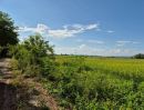 ขายที่ดิน - ขายที่นาวิวภูเขาสวย 14-0-41 ไร่ อ.สันกำแพง เชียงใหม่