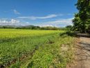 ขายที่ดิน - ขายที่นาวิวภูเขาสวย 14-0-41 ไร่ อ.สันกำแพง เชียงใหม่