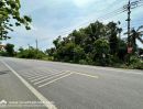 ขายที่ดิน - ขายที่ดินติดถนนเลียบคลองสิบสาม (หนองจอก) 3-3-29 ไร่ ติดถนนหลัก ใกล้วัดแสนเกษม ไม่ไกลจากเขตหนองจอกและถนนลำลูกกา หันหน้าทางทิศตะวันตก