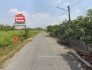 ขายที่ดิน - ที่ดินเปล่า (3 แปลง) หลังสถานีอนามัยบึงชำอ้อ คลองแปด เนื้อที่ 300 ตรว. ถนนรังสิต-นครนายก ตำบลบึงชำอ้อ อำเภอหนองเสือ จังหวัดปทุมธานี