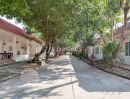 ขายที่ดิน - ขาย ที่ดิน 30-3-47 ไร่ ต.หนองแก๋ว อ.หางดง จ.เชียงใหม่