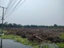 ขายที่ดิน - ขายด่วน !! ที่ดินเปล่าแปลงสวย ติดคลองดำเนินสะดวก (เจ้าของขายเอง)