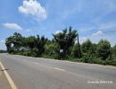 ขายที่ดิน - ขายที่ดินจำนวน 6 ไร่ ใกล้ถนน 331 ที่ดินสวยติดถนน มีไฟฟ้า