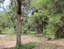 ขายที่ดิน - ขายที่ดินตำบลป่าเมี่ยงดอยสะเก็ตติดถนนติดลำธารน้ำพร้อมโอน