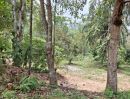 ขายที่ดิน - ขายที่ดินตำบลป่าเมี่ยงดอยสะเก็ตติดถนนติดลำธารน้ำพร้อมโอน