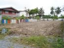 ขายที่ดิน - ขายที่ดินเปล่าถมแล้วที่บางใหญ่ หน้ากว้างติดถนน