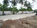 ขายที่ดิน - ขายที่ดินเปล่าถมแล้วที่บางใหญ่ หน้ากว้างติดถนน