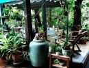 ขายบ้าน - บ้านเดี่ยวเนื้อที่ 446 ตรว. ใจกลางเมือง เหมาะสำหรับลงทุน
