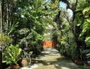 ขายบ้าน - บ้านเดี่ยวเนื้อที่ 446 ตรว. ใจกลางเมือง เหมาะสำหรับลงทุน
