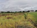 ขายที่ดิน - ที่ดิน 8 ไร่ครึ่ง ติดถนนอโยธยา ใกล้เซ็นทรัล 2 กิโลเมตร