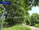 ขายที่ดิน - ขายที่ดินซอยพัฒนาการ69 หมู่บ้านเมืองทองการ์เด้น เหมาะสำหรับปลูกบ้านอยู่อาศัย