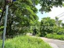ขายที่ดิน - ขายที่ดิน97ตร.วา หมู่บ้าน เมืองทอง การ์เด้นส์ พัฒนาการ ถนนพัฒนาการ69 เขตประเวศ เหมาะสำหรับปลูกบ้านอยู่อาศัย
