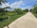 ขายที่ดิน - ขายที่ดินเปล่า แปลงสวย ซอยโรงช้อน หนองเสือ ปทุมธานี