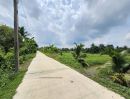 ขายที่ดิน - ขายที่ดินเปล่า แปลงสวย ซอยโรงช้อน หนองเสือ ปทุมธานี