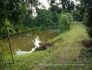 ขายที่ดิน - ขายที่สวนบ้านสันมหาพนแม่แตงมีบ่อห่างถนนหลัก 500เมตร