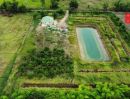 ขายที่ดิน - ขายที่ดินเปล่า ราคาถูกที่สุดในย่านหนองเสือ ปทุมธานี พร้อม สระน้ำ โคกหนองนา สวยๆ ใกล้ กรุงเทพฯ