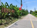 ขายที่ดิน - บางนา ตราด กม.26 ที่ดิน 2-1-41 ไร่ แปลงมุมติดถนน 2 ด้าน ใกล้ ม.เอเบค