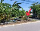 ขายที่ดิน - บางนา ตราด กม.26 ที่ดิน 2-1-41 ไร่ แปลงมุมติดถนน 2 ด้าน ใกล้ ม.เอเบค