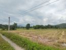 ขายที่ดิน - ที่นา 4-1-64.3 ไร่ น้ำไฟฟ้าพร้อม ถูกที่สุดในสันกำแพง ร้อนเงิน